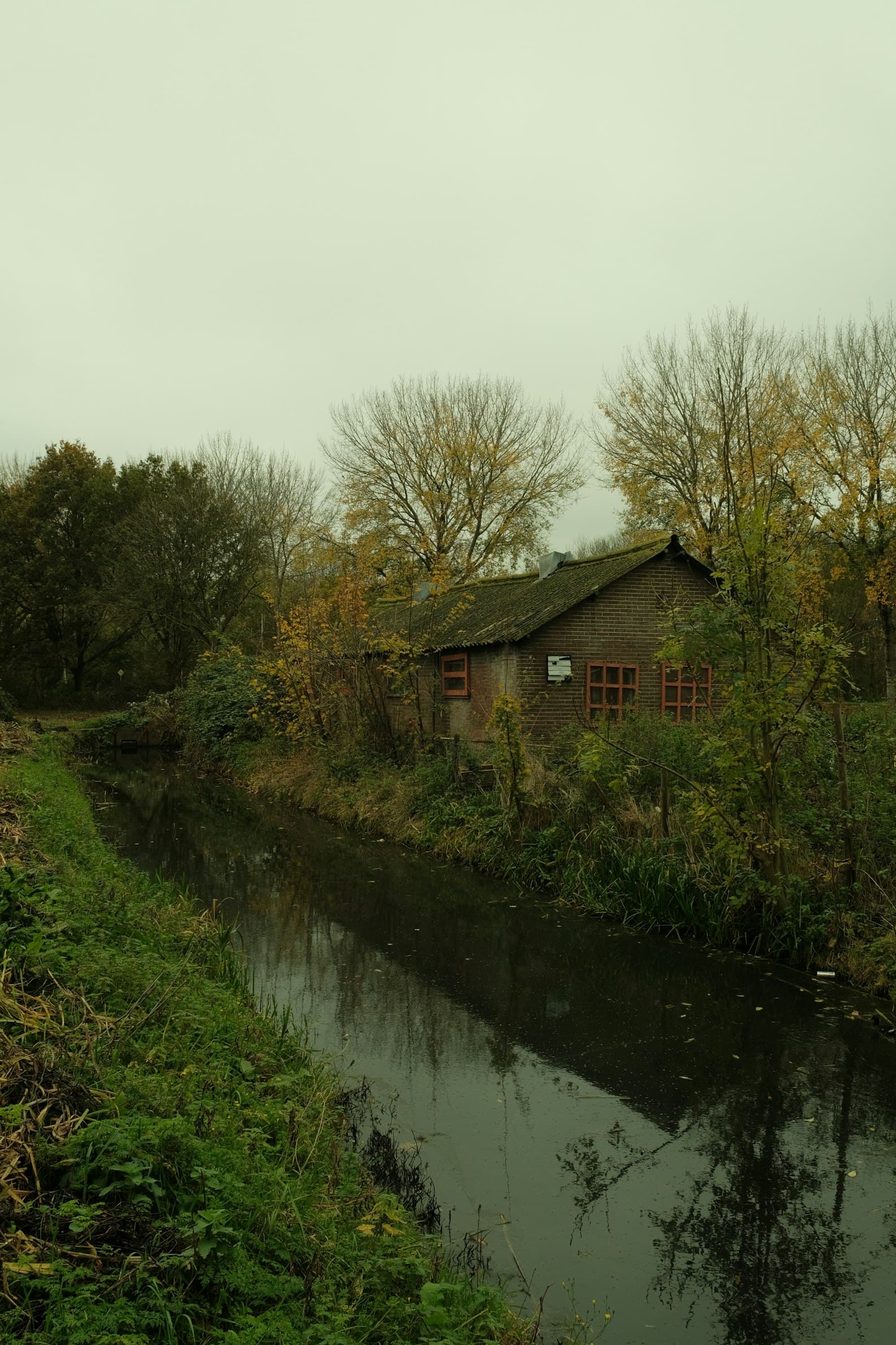 Photo 1764360199816 0e1f68a56e19